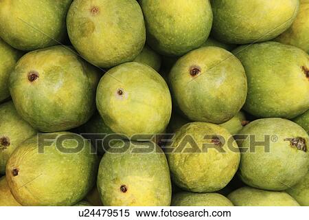 Close-up of mangoes View Large Photo Image Stock Photography - Close-up of mangoes. Fotosearch