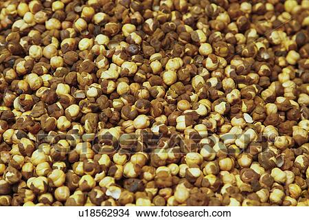 Close-up of roasted grams View Large Photo Image Picture - Close-up of roasted grams. Fotosearch