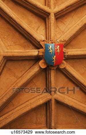 Stock Photo - Coat of arms on a wall, Oxford University, Oxford, Oxfordshire, England. Fotosearch