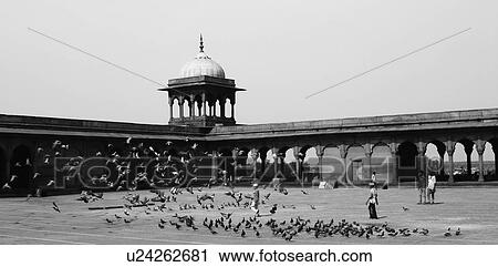 Courtyard of a mosque, Jama Masjid, Delhi, India View Large Photo Image Stock Image - Courtyard of a mosque, Jama Masjid, Delhi, India. Fotosearch