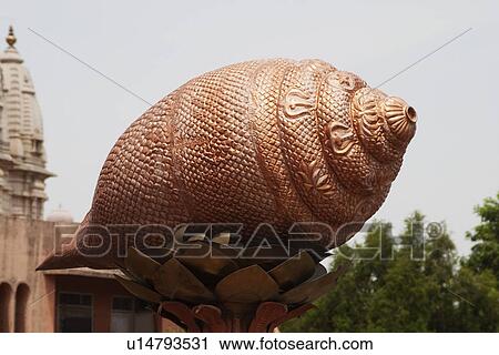 Detail of conch shell sculpture at a temple, Chhatarpur Temple, New Delhi, India View Large Photo Image Stock Image - Detail of conch shell sculpture at a temple, Chhatarpur Temple, New Delhi, India. Fotosearch