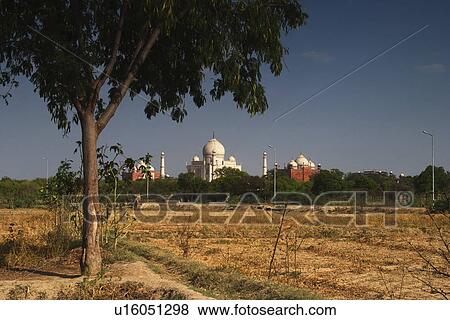 Field with the mausoleum in the background, Taj Mahal, Agra, Uttar Pradesh, India View Large Photo Image Stock Photo - Field with the mausoleum in the background, Taj Mahal, Agra, Uttar Pradesh, India. Fotosearch