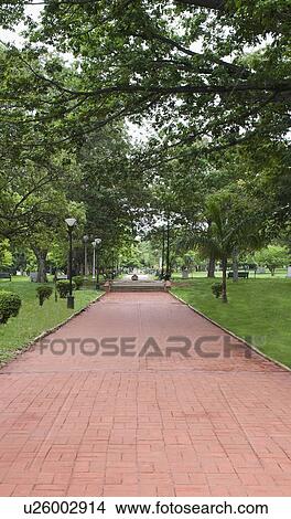 Footpath in a botanical garden, Lal Bagh Botanical Garden, Bangalore, Karnataka, India View Large Photo Image Picture - Footpath in a botanical garden, Lal Bagh Botanical Garden, Bangalore, Karnataka, India. Fotosearch