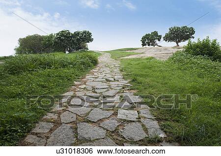 Footpath in a park, Bangalore, Karnataka, India View Large Photo Image Stock Photograph - Footpath in a park, Bangalore, Karnataka, India. Fotosearch