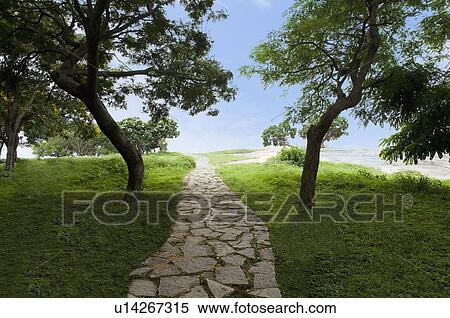 Footpath in a park, Bangalore, Karnataka, India View Large Photo Image Stock Photography - Footpath in a park, Bangalore, Karnataka, India. Fotosearch