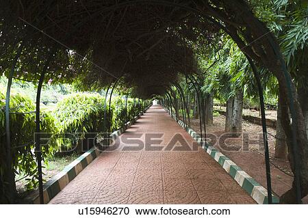 Footpath of a botanical garden, Lal Bagh Botanical Garden, Bangalore, Karnataka, India View Large Photo Image Stock Image - Footpath of a botanical garden, Lal Bagh Botanical Garden, Bangalore, Karnataka, India. Fotosearch