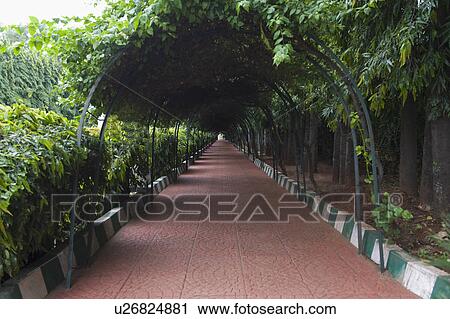 Stock Image - Footpath of a botanical garden, Lal Bagh Botanical Garden, Bangalore, Karnataka, India. Fotosearch