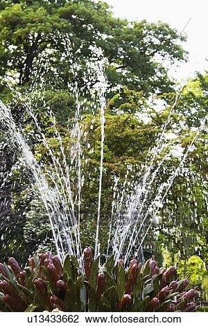 Fountain in a park, St Stephen's Green, Dublin, Republic of Ireland View Large Photo Image Stock Image - Fountain in a park, St Stephen's Green, Dublin, Republic of Ireland. Fotosearch