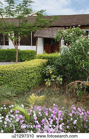 Stock Image - Garden in front of a tourist resort, Jim Corbett National Park, Nainital, Uttarakhand, India. Fotosearch