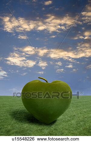 Stock Photograph - Grass rendering an apple. Fotosearch