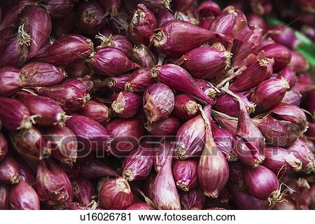 Heap of onions at a market stall, Republic of Ireland View Large Photo Image Stock Image - Heap of onions at a market stall, Republic of Ireland. Fotosearch