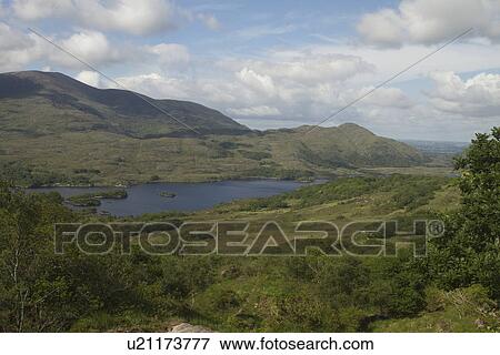 High angle view of a national park, Killarney National Park, Killarney, County Kerry, Republic of Ireland View Large Photo Image Stock Photo - High angle view of a national park, Killarney National Park, Killarney, County Kerry, Republic of Ireland. Fotosearch