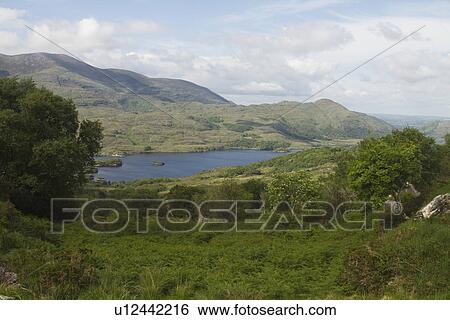 High angle view of a national park, Killarney National Park, Killarney, County Kerry, Republic of Ireland View Large Photo Image Stock Photograph - High angle view of a national park, Killarney National Park, Killarney, County Kerry, Republic of Ireland. Fotosearch