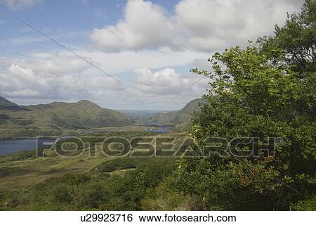 Stock Photograph - High angle view of a national park, Killarney National Park, Killarney, County Kerry, Republic of Ireland. Fotosearch