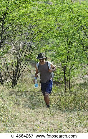 Stock Photo - Hiker in a forest. Fotosearch