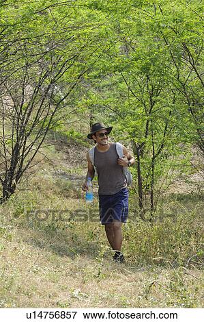 Hiker in a forest View Large Photo Image Stock Photo - Hiker in a forest. Fotosearch