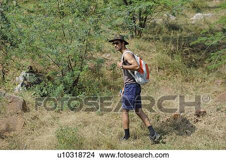 Hiker walking in a forest View Large Photo Image Picture - Hiker walking in a forest. Fotosearch