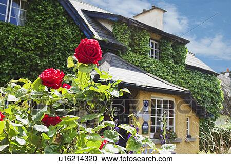 Low angle view of a cafe, The Good Room Cafe, Adare, County Limerick, Republic of Ireland View Large Photo Image Stock Image - Low angle view of a cafe, The Good Room Cafe, Adare, County Limerick, Republic of Ireland. Fotosearch