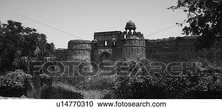 Low angle view of a fort, Old Fort, Delhi, India View Large Photo Image Stock Image - Low angle view of a fort, Old Fort, Delhi, India. Fotosearch