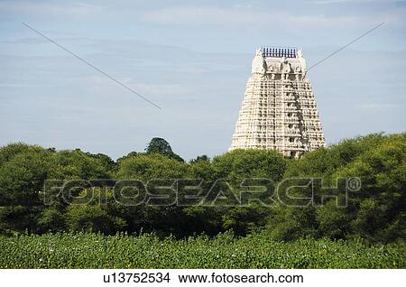 Low angle view of a temple, Tirumala Venkateswara Temple, Tirupati, Andhra Pradesh, India View Large Photo Image Picture - Low angle view of a temple, Tirumala Venkateswara Temple, Tirupati, Andhra Pradesh, India. Fotosearch