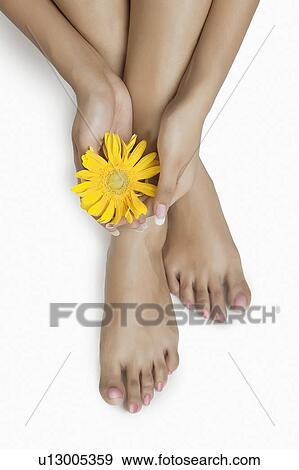 Low section view of a woman holding a flower View Large Photo Image Stock Photo - Low section view of a woman holding a flower. Fotosearch