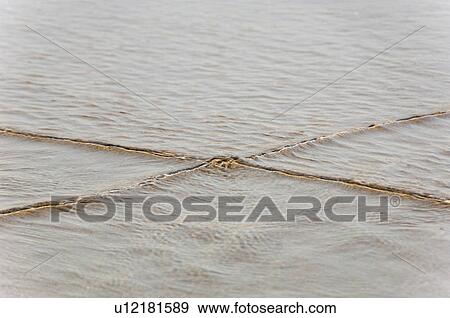 Marker rope in the sea, Goa, India View Large Photo Image Stock Photo - Marker rope in the sea, Goa, India. Fotosearch