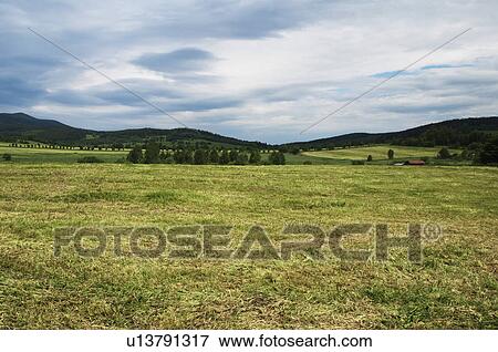 Meadow, Cesky Krumlov, South Bohemian Region, Czech Republic View Large Photo Image Stock Photo - Meadow, Cesky Krumlov, South Bohemian Region, Czech Republic. Fotosearch