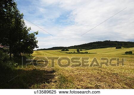 Meadow, Cesky Krumlov, South Bohemian Region, Czech Republic View Large Photo Image Stock Photography - Meadow, Cesky Krumlov, South Bohemian Region, Czech Republic. Fotosearch