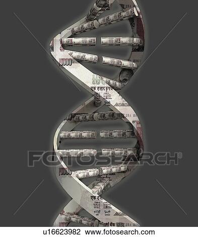 Stock Image - Money DNA strand. Fotosearch