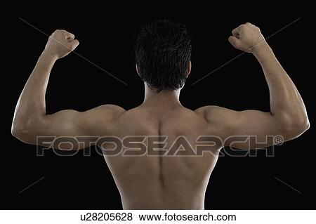 Stock Photo - Muscular man flexing his biceps. Fotosearch
