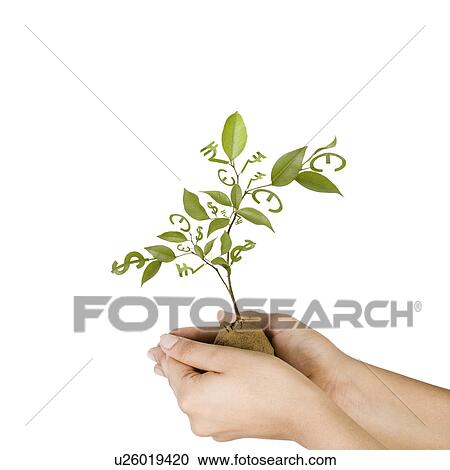 Stock Image - Person's hands holding a plant with currency symbols leaves. Fotosearch