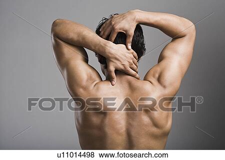 Rear view of a muscular man View Large Photo Image Stock Photo - Rear view of a muscular man. Fotosearch