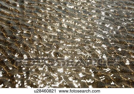 Stock Image - Rippled pattern on a water surface, Goa, India. Fotosearch