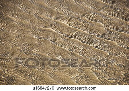 Rippled pattern on sand dunes, Goa, India View Large Photo Image Stock Image - Rippled pattern on sand dunes, Goa, India. Fotosearch