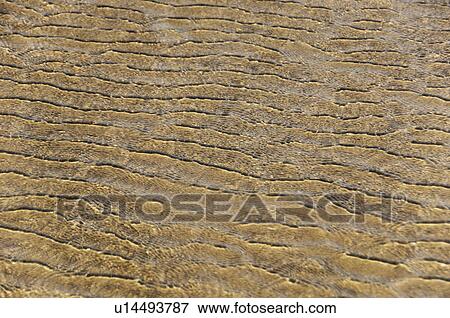 Rippled pattern on sand dunes, Goa, India View Large Photo Image Stock Photo - Rippled pattern on sand dunes, Goa, India. Fotosearch