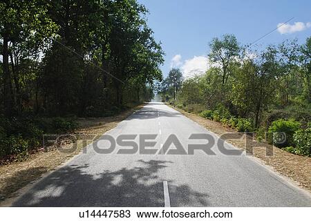 Stock Image - Road passing through a forest, Jim Corbett National Park, Nainital, Uttarakhand, India. Fotosearch