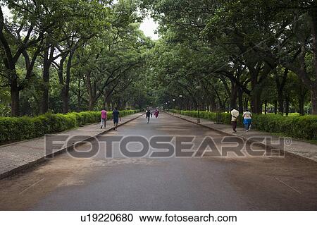 Road passing through a park, Cubbon Park, Bangalore, Karnataka, India View Large Photo Image Stock Image - Road passing through a park, Cubbon Park, Bangalore, Karnataka, India. Fotosearch