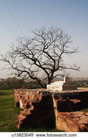 Ruins of a grave, Fatehpur Sikri, Agra, Uttar Pradesh, India View Large Photo Image Stock Photo - Ruins of a grave, Fatehpur Sikri, Agra, Uttar Pradesh, India. Fotosearch