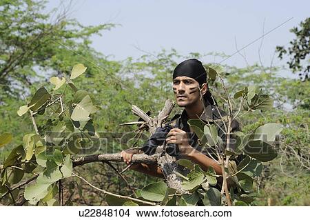 Soldier holding binoculars in a forest View Large Photo Image Picture - Soldier holding binoculars in a forest. Fotosearch
