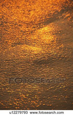 Sunlight reflected on water surface, Goa, India View Large Photo Image Stock Image - Sunlight reflected on water surface, Goa, India. Fotosearch