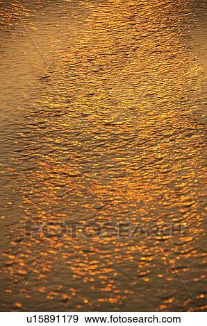 Sunlight reflected on water surface, Goa, India View Large Photo Image Stock Photo - Sunlight reflected on water surface, Goa, India. Fotosearch