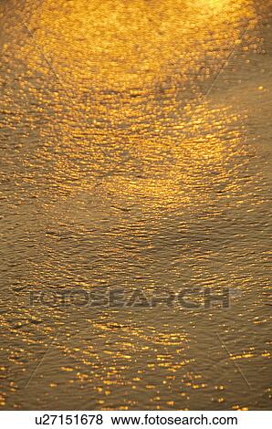 Sunlight reflected on water surface, Goa, India View Large Photo Image Stock Photo - Sunlight reflected on water surface, Goa, India. Fotosearch