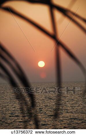Sunset over the sea viewed through leaves, Goa, India View Large Photo Image Stock Image - Sunset over the sea viewed through leaves, Goa, India. Fotosearch