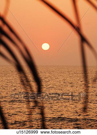 Stock Photo - Sunset over the sea viewed through leaves, Goa, India. Fotosearch