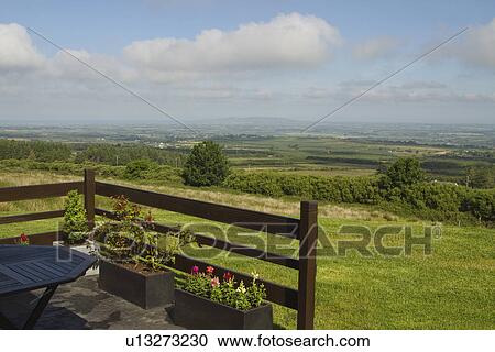 Table with potted plants in a restaurant, Tralee, County Kerry, Republic of Ireland View Large Photo Image Stock Image - Table with potted plants in a restaurant, Tralee, County Kerry, Republic of Ireland. Fotosearch