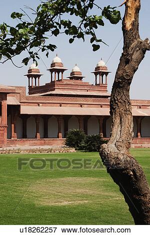 Tree in front of a palace, Fatehpur Sikri, Agra, Uttar Pradesh, India View Large Photo Image Stock Photo - Tree in front of a palace, Fatehpur Sikri, Agra, Uttar Pradesh, India. Fotosearch