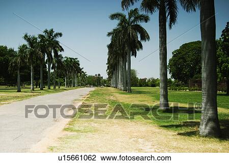 Stock Image - Trees along a path in a fort, Old Fort, Delhi, India. Fotosearch