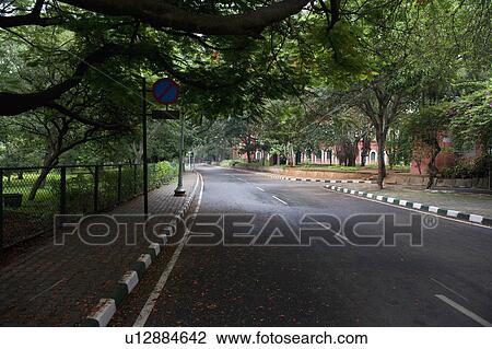 Trees along a road, Bangalore, Karnataka, India View Large Photo Image Stock Image - Trees along a road, Bangalore, Karnataka, India. Fotosearch