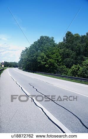 Stock Image - Trees at the roadside, Cesky Krumlov, South Bohemian Region, Czech Republic. Fotosearch