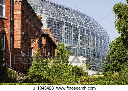 Stock Image - Trees near a stadium, Aviva Stadium, Dublin, Republic of Ireland. Fotosearch